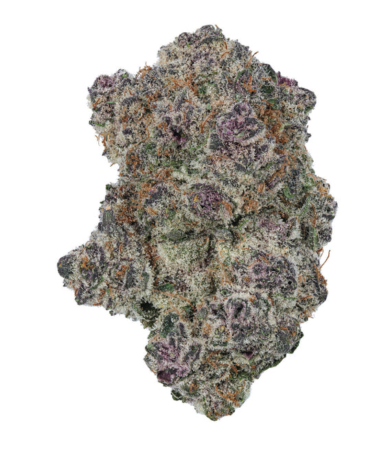 Black Cherry Gelato